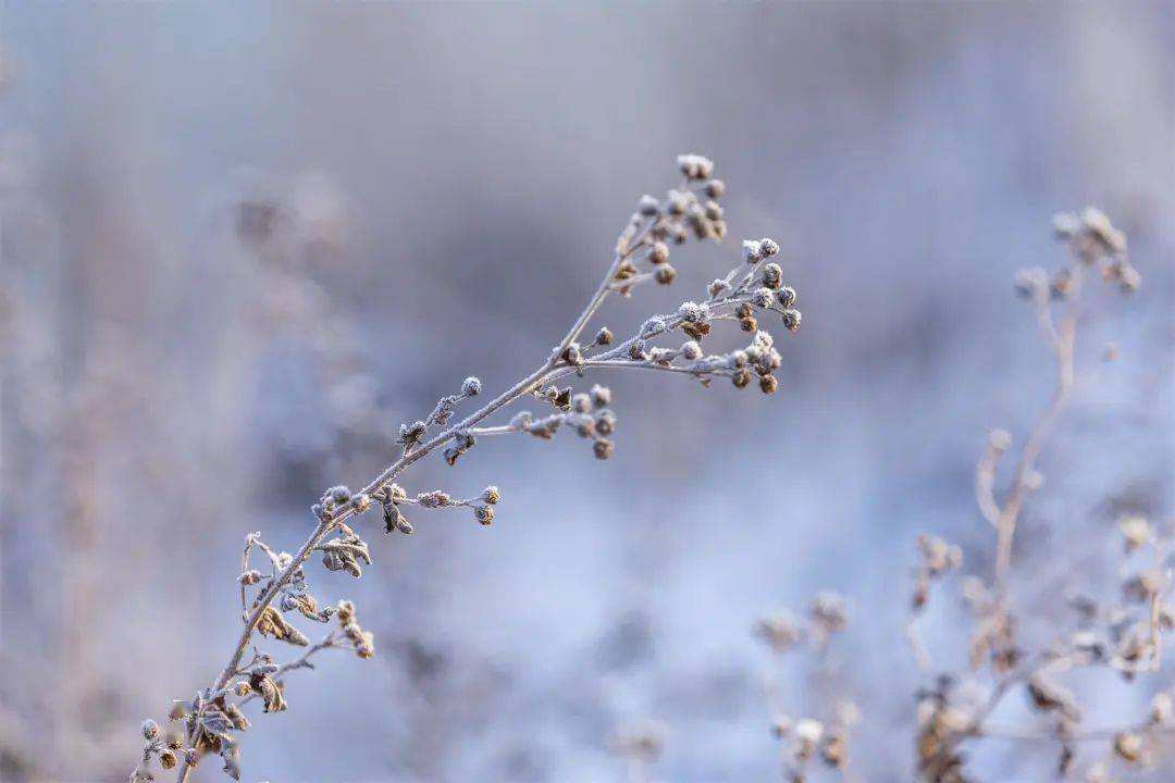 小雪 ▎冬藏萬(wàn)物，歲月沉香